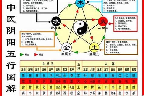 1984五行属什么|1984年属鼠是什么命，84年出生五行属什么